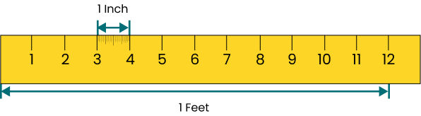 Feet In  Scale