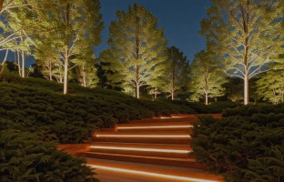 Terrace Lighting